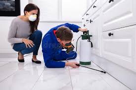 Best Indoor Pest Control  in East Hills, NY